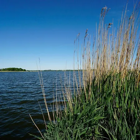 Appartement Moderne N°9 Stexwig Mit Panorama Schleiblick