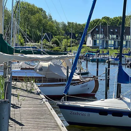 Moderne N°9 Stexwig Mit Panorama Schleiblick Borgwedel